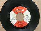 The Fuzz ?– Do Just What You Can b/w Mr. Heartaches & Miss Tears - Calla, VG+