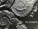 The Sundays Reading Writing & Arithmetic Vinyl LP 1990 first press Rough148