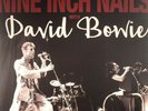 Nine Inch Nails with David Bowie - Back In Anger: Volume 2 - Vinyl Record NEW