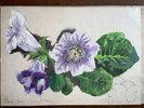 Large Original Pastel Gloxinia? 1970s Dream Pop Star Girl Lynsey De Paul Signed