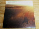 SAVES THE DAY -STAY WHAT YOU ARE -2001 1ST PRESS VAGRANT LABEL LP