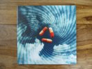 PORCUPINE TREE / ST. WILSON     2 LP      Voyage 34   2004    NEUWERTIG