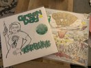 Green Day Dookie and Kerplunk Vinyls NEW