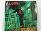 LL Cool J Bigger And Deffer BAD Vintage Vinyl 1987 Release Def Jam Recordings