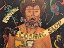 Funkadelic Cosmic Slop WB 2022 Funk/Soul Westbound EX/EX LP 1973 VPI CLEANED