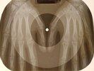 Bob Dylan - Knockin On Heavens Door X-RAY OF USSR X-RAY BONES RECORDING