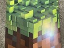 Minecraft Volume Alpha Vinyl Record