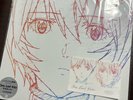 Hikaru Utada One last kiss LP record Neon Genesis Evangelion Rei Ayanami Sony