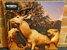 INTERPOL - Our Love to Admire, Import 2LP BLACK VINYL Gatefold Jacket New+Sealed