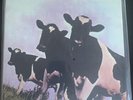 Pink Floyd Atom Heart Mother Mofi New MFSL 1-202 Mobile Fidelity Low Number 380