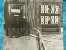 Nocturnal Emissions Fruiting Body LP w/lbl Sterile Industrial