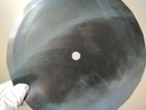 BEATLES LADY MADONNA X-Ray USSR Record Roentgen Ribs Bones Music Vinyl