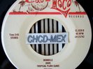 ? LATIN 45 ?TROPICAL PLAYA SUAVE? SALSA GUAGUANCO GUARACHA CUMBIA DESCARGA SABOR