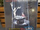 Panic at the Disco ALL MY FRIENDS WE'RE GLORIOUS Death of a Bachelor LIVE Vinyl