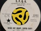 Garage 45 - The Wild Things - Weird Hot Nights - S.P.Q.R Promo HEAR