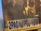 Sealed 2Pac 2PACALYPSE NOW Debut Album Gatefold Tupac Shakur Vinyl Record 2 LP