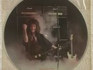 RANDY RHOADS Tribute To Randy Rhoads by Kevin Wet Picture Disc Record 1983 EX-NM