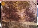 Cat Power You Are Free New Vinyl 150 GRAM AUDIOPHILE RECORD ALBUM