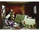 SONIC YOUTH-DESTROYED ROOM: B-SIDES & RARITIES VINYL LP NEUF