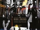 DIXIE CHICKS-TAKING THE LONG WAY VINYL LP NEW