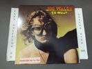JOE WALSH (OF EAGLES) SO WHAT 1974 1ST PRESS WLP PROMO LP DSD-50171