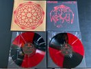 King Gizzard And The Lizard Wizard Live In San Francisco Unplayed Panhandle Ed