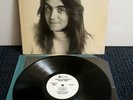 Terry Reid Seed Of Memory LP (EX) White Label Promo w/ Insert - Rare Folk Psych