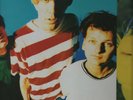 VELVET CRUSH In the Presence of Greatness UK LP POWERPOP INDIE The Springfields