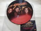 Bee Gees / Spirits Having Flown /  Rare Picture Disc 12