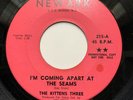 Kittens Three ?– I'm Coming Apart At The Seams /Baby (I Need You)-Newark 215