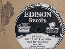 B.A Rolfe & His Palais D'Or Orch. EDISON 52343 E+ 