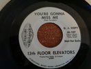 13th Floor Elevators, You're Gonna Miss me, IA promo # 107, M-
