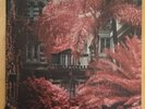 Foals - Everything Not Saved Will Be Lost Part 1 Limited Edition Vinyl Rare