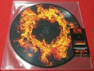 U2 Fire 40th Anniversary Edition 12
