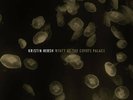 KRISTIN HERSH Wyatt At The Coyote Palace 2xLP Gold Vinyl RECORD STORE DAY New