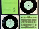 BEACH BOYS Hawthorne Hot Shots RARE 2x7