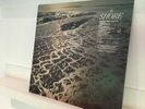 Fleet Foxes ?– Shore 2021 Clear Vinyl  2 x LP Near Mint Indie Exclusive