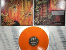 Slayer - Hell Awaits LP Record Album - Orange Vinyl NEW