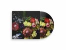 Cold Cave - Fate In Seven Lessons / Vinyl LP limited on PICTURE DISC