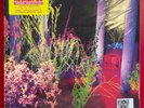Hüsker Dü - Warehouse: Songs and Stories *RSD EXCLUSIVE* 2xLP *NEW SEALED*