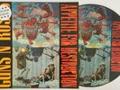 Guns N Roses - Appetite For Destruction LTD EDITION PICTURE DISC. MINT