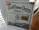 Black Stone Cherry between the devil & the deep blue sea Vinyl LP limited silver