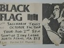 Black Flag/ Saccharine Trust Poster 1984 vintage hardcore punk (MB)