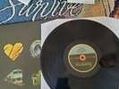 Silverstein Redux: The First 10 Years Colored Vinyl