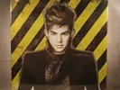 ADAM LAMBERT TRESPASSING DOUBLE VINYL, CD & POSTERS BOX SET FACTORY SEALED MINT