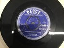 The Chancis Everybodys Lauhhing Decca Demo Mod Beat Fuzz