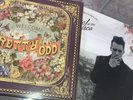 panic at the disco vinyl bundle - Too Weird To Love To Rare To die - Pretty Odd
