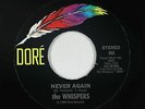 Sweet Soul 45 - Whispers - Never Again/As I Sit Here - Dore - VG+ mp3
