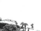 Timber Timbre - Hot Dreams (Repress) (NEW VINYL LP)