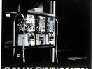 The Stone Roses Sally Cinnamon UK 7